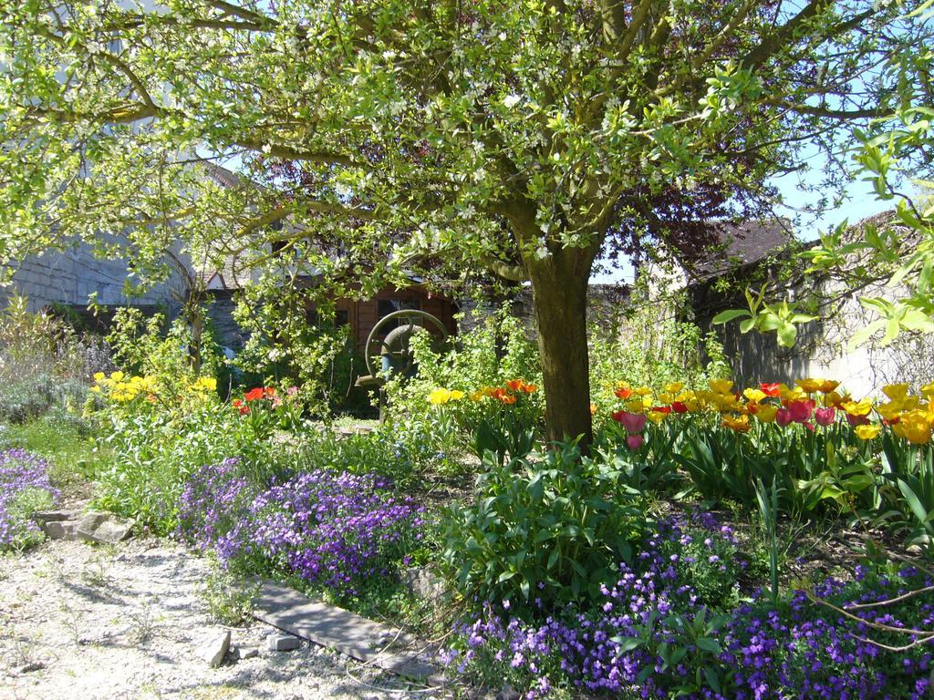 Bed and Breakfast L'Instant Present Pacy-sur-Armancon Екстер'єр фото